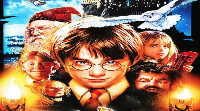 Harry Potter Theories