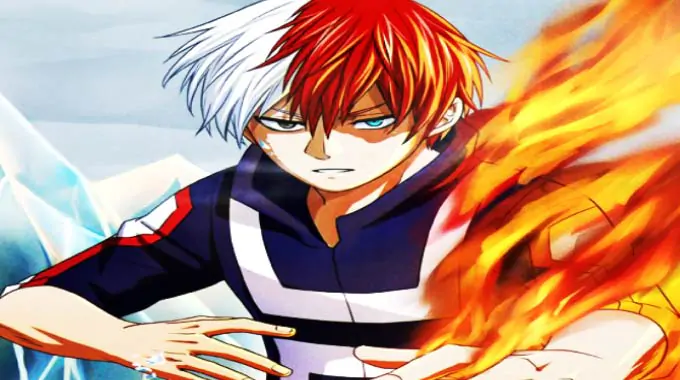 Shouto Todoroki