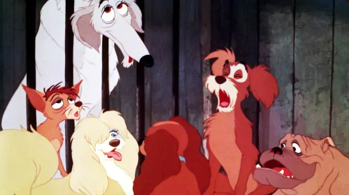 Lady and the Tramp Characters